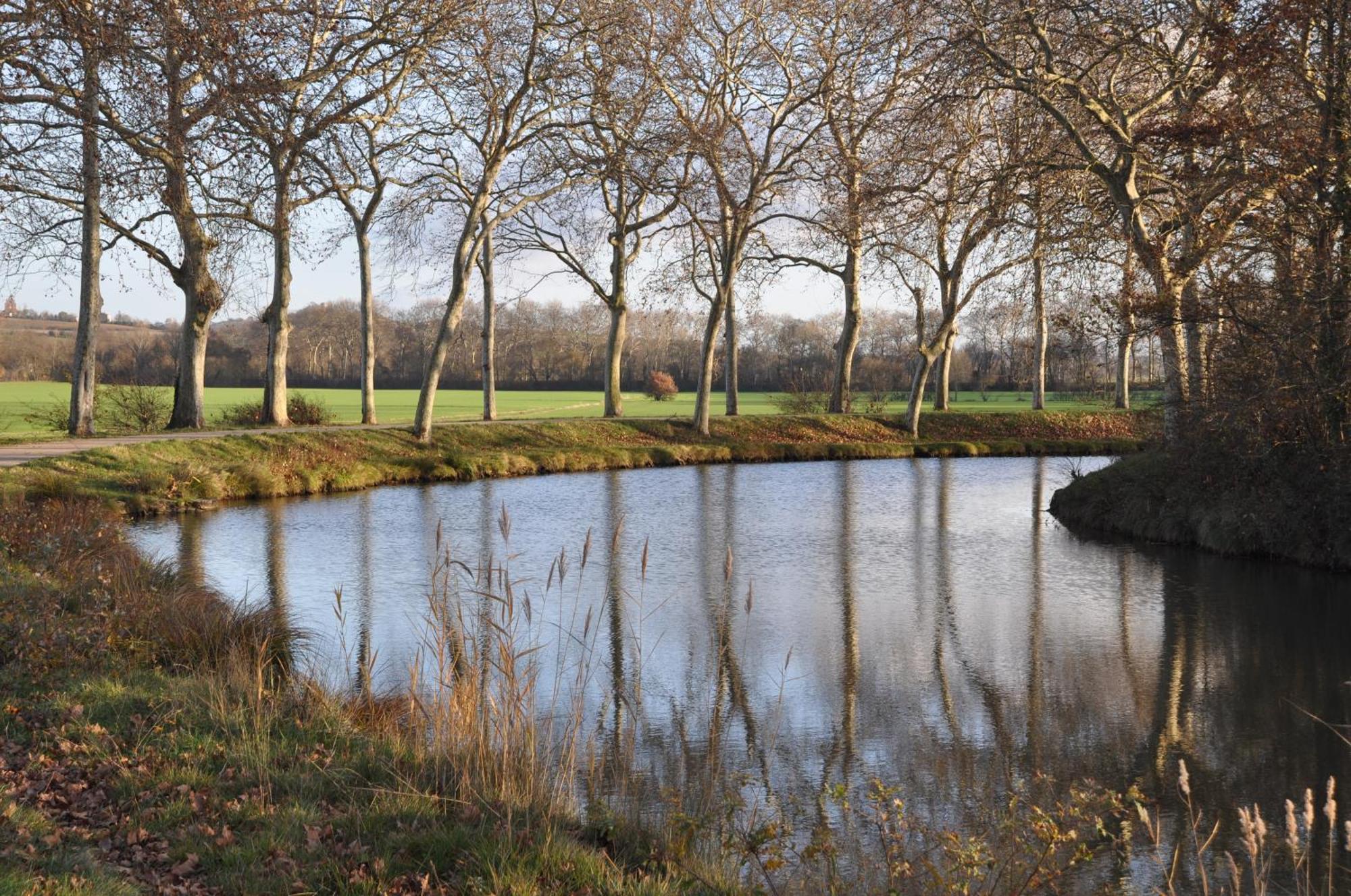 Domaine De Hurlevent Montgaillard-Lauragais Exterior photo